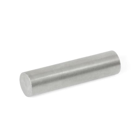 GN55.3-AN-8-25 Raw Magnet Rod Shaped